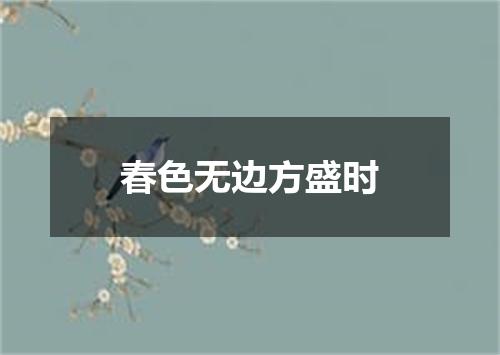 春色无边方盛时