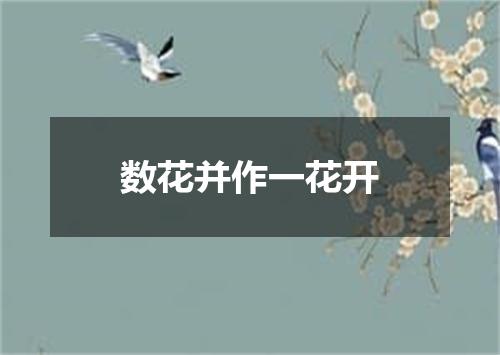 数花并作一花开