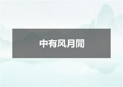 中有风月閒