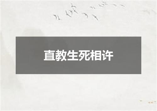 直教生死相许