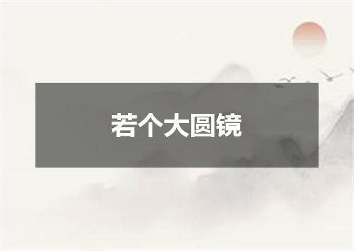 若个大圆镜