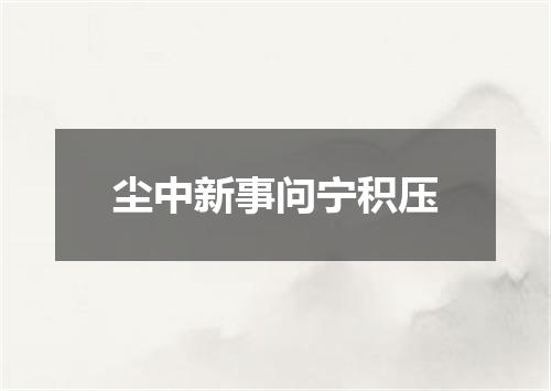 尘中新事问宁积压