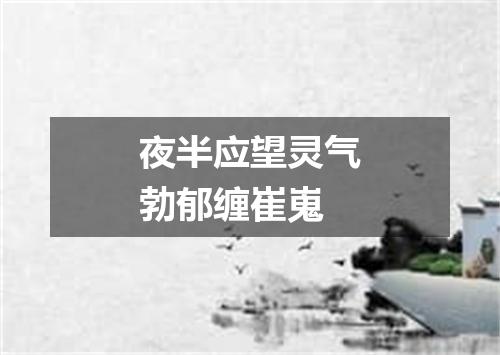 夜半应望灵气勃郁缠崔嵬