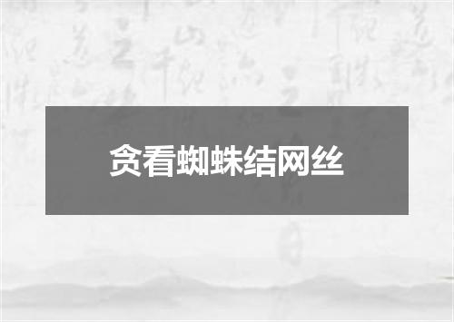 贪看蜘蛛结网丝