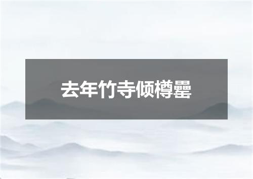 去年竹寺倾樽罍