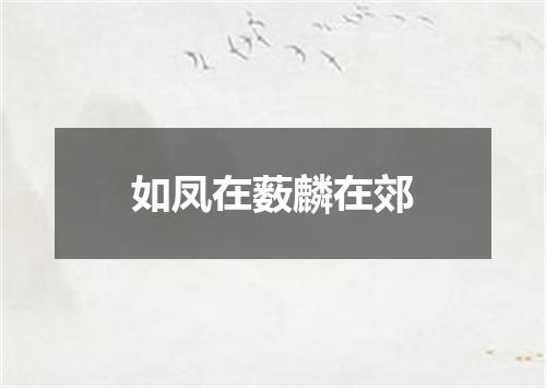 如凤在薮麟在郊