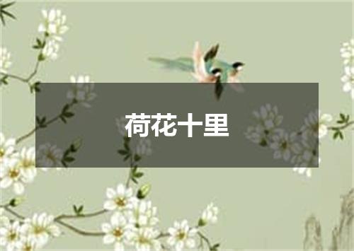 荷花十里
