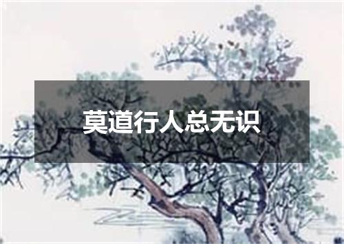 莫道行人总无识