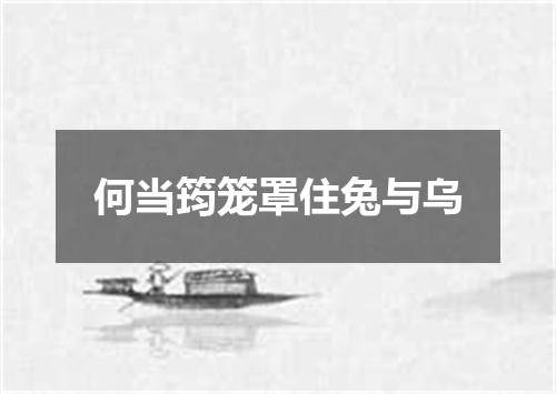何当筠笼罩住兔与乌