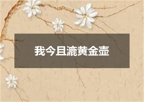 我今且漉黄金壶