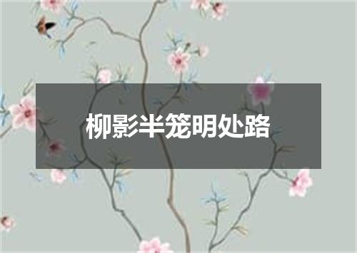 柳影半笼明处路