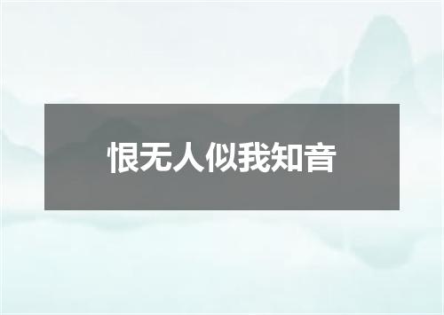 恨无人似我知音