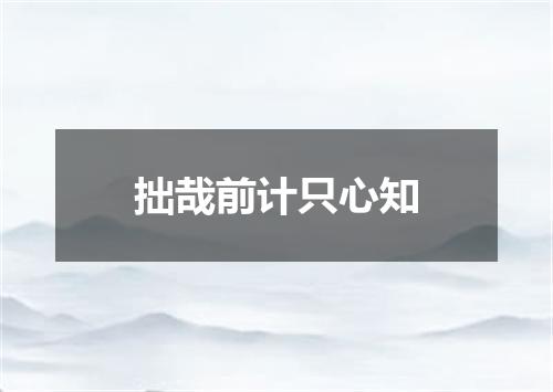 拙哉前计只心知