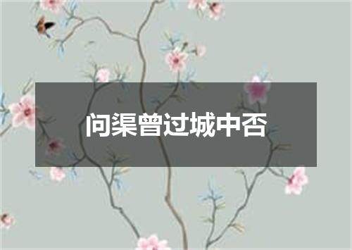 问渠曾过城中否