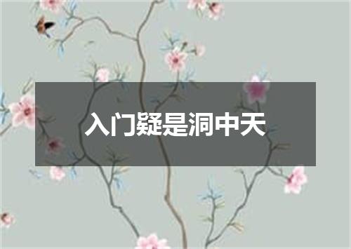入门疑是洞中天