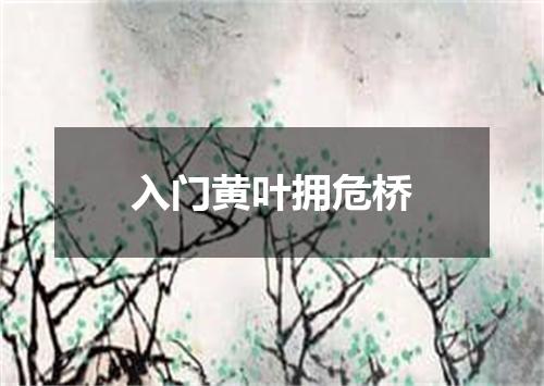 入门黄叶拥危桥