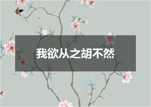 我欲从之胡不然