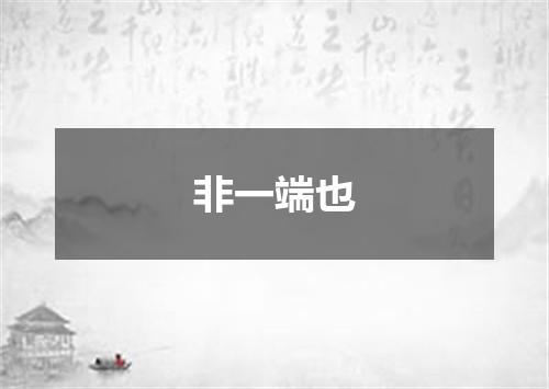 非一端也