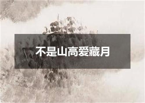 不是山高爱藏月