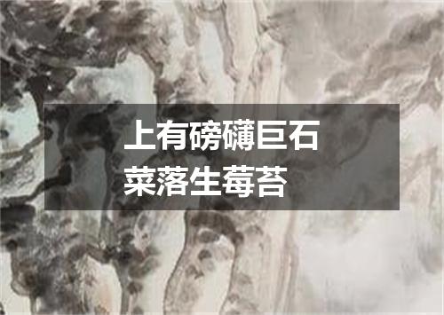 上有磅礴巨石菜落生莓苔