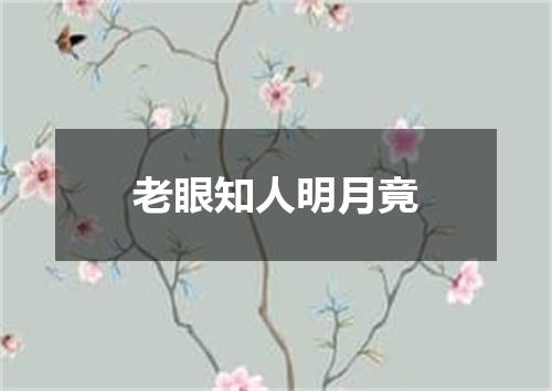老眼知人明月竟