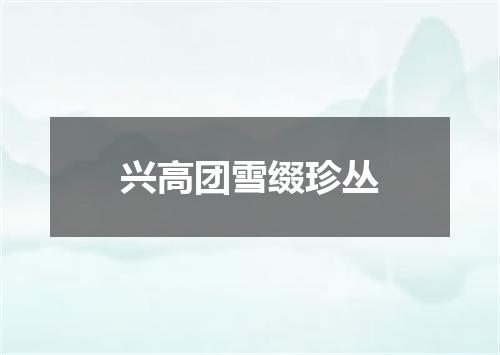 兴高团雪缀珍丛