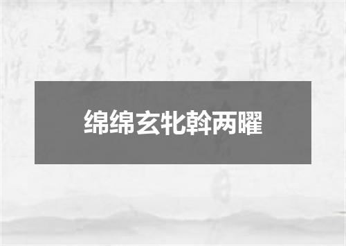 绵绵玄牝斡两曜