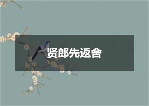 贤郎先返舍