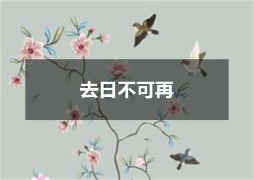 去日不可再