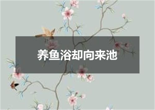 养鱼浴却向来池