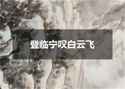 登临宁叹白云飞