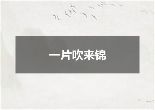 一片吹来锦