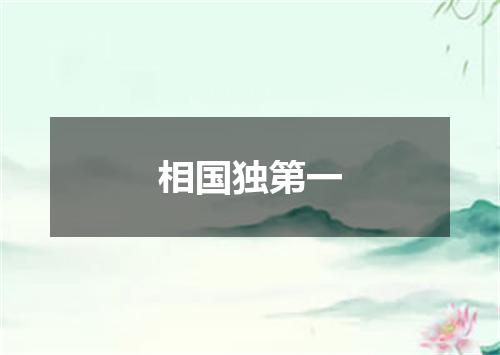 相国独第一