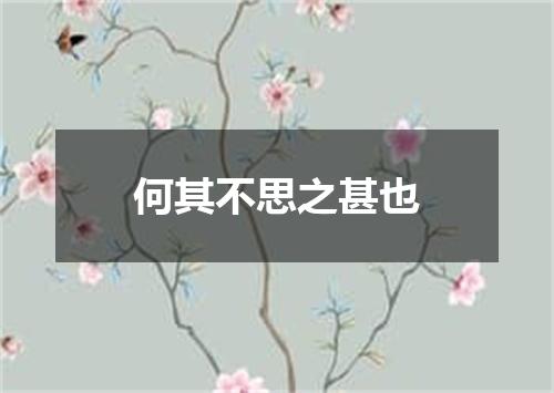 何其不思之甚也