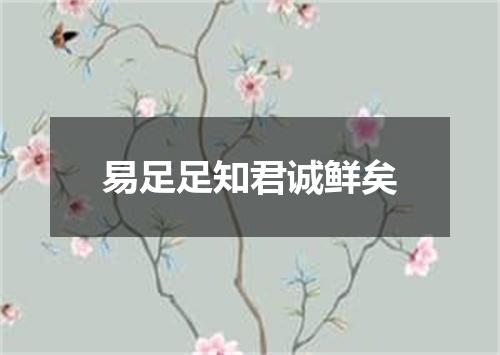 易足足知君诚鲜矣