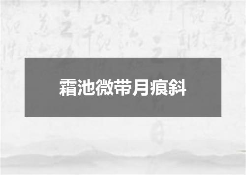 霜池微带月痕斜