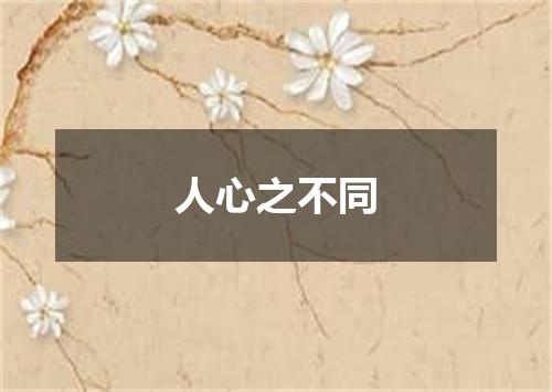 人心之不同