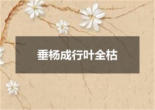 垂杨成行叶全枯