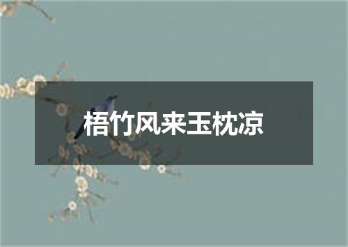 梧竹风来玉枕凉
