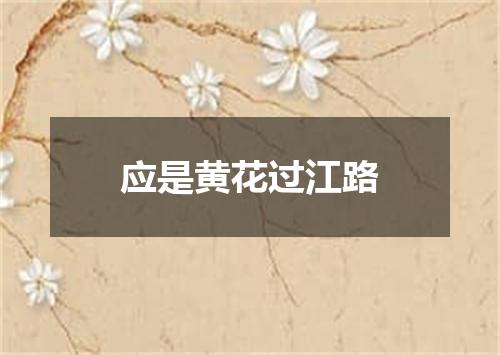 应是黄花过江路