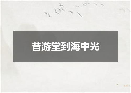 昔游堂到海中光
