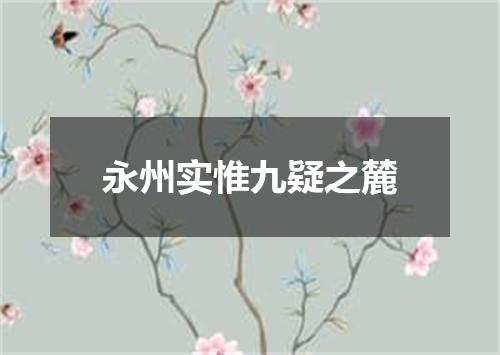 永州实惟九疑之麓