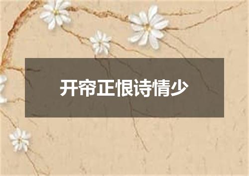 开帘正恨诗情少
