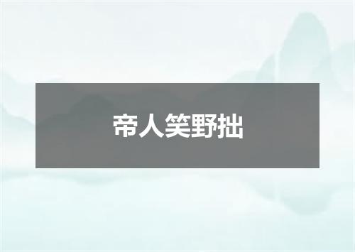 帝人笑野拙