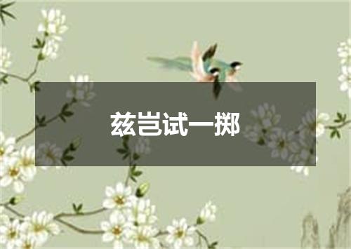 兹岂试一掷