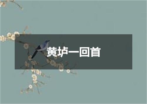 黄垆一回首