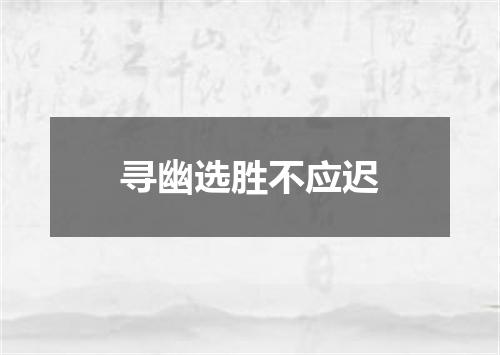 寻幽选胜不应迟