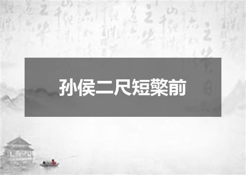 孙侯二尺短檠前