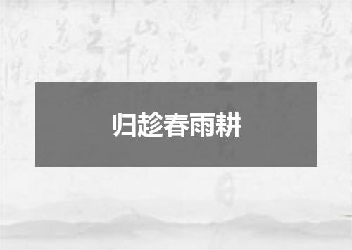 归趁春雨耕