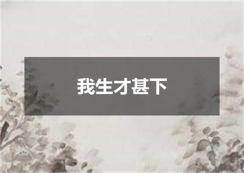 我生才甚下